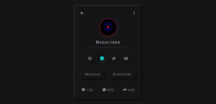 project 4